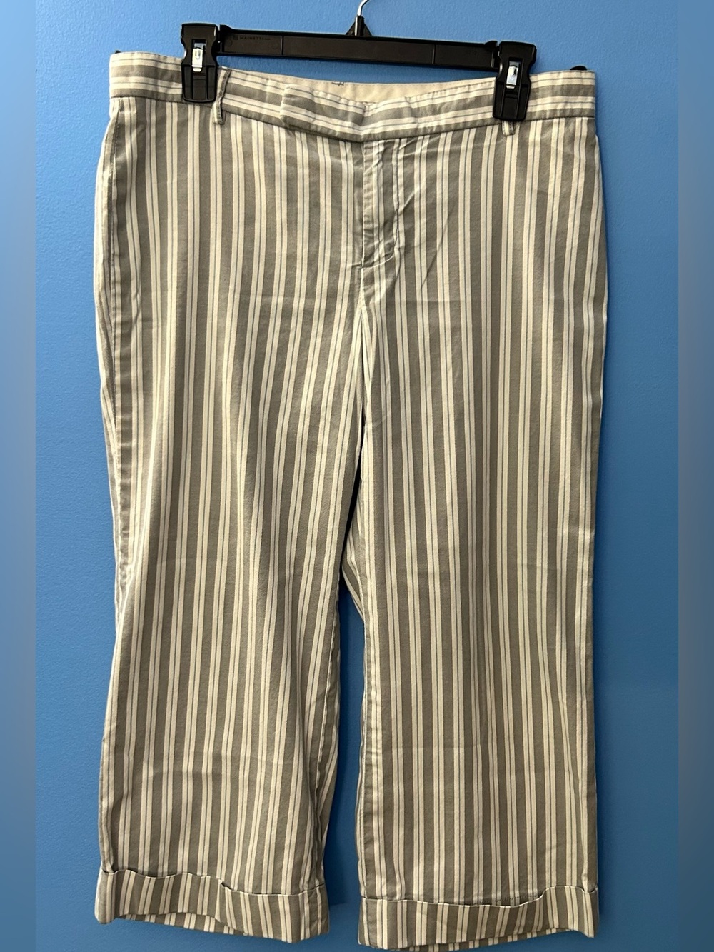 Women’s The Gap cuffed striped pants Size10